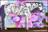 Horse Color:Nacre White Spotted Liver Red Onyx Ice Splash Tobiano Appaloosa Rabicano
