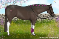 Horse Color:Liver Chestnut Sabino Tobiano 