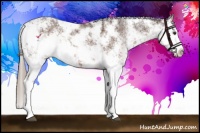 Horse Color:Liver Chestnut Sabino 