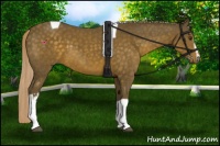 Horse Color:White Spotted Chocolate Palomino Tobiano 