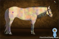 Horse Color:Nacre Buckskin Roan Sabino 