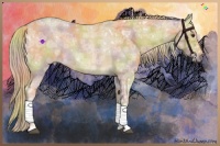 Horse Color:Nacre Red Ice Roan 