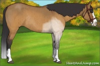 Horse Color:Brown Roan Dun Splash Rabicano Brindle 