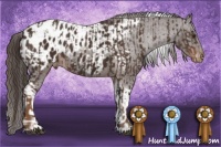 Horse Color:Liver Chestnut Sabino Appaloosa  and Liver Chestnut Tobiano Appaloosa 