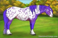 Horse Color:Watercolor White Spotted Brown Splash Appaloosa Rabicano 