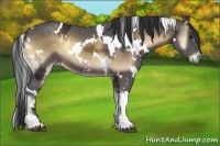 Horse Color:White Spotted Brown Ice Onyx 