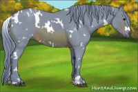 Horse Color:Watercolor White Spotted Brown Roan 