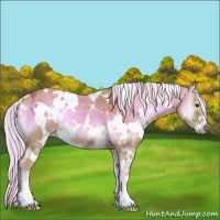 Horse Color:Watercolor White Spotted Palomino Ice Onyx