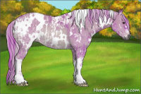 Horse Color:Gray Watercolor White Spotted Red Onyx Appaloosa and Watercolor White Spotted Palomino
