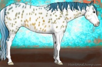 Horse Color:Watercolor Bay Splash Appaloosa