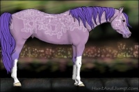 Horse Color:Watercolor Grullo Ice 