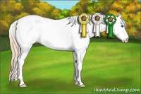 Horse Color:White Spotted Red Dun Splash Tobiano Appaloosa 