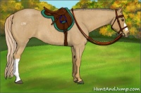 Horse Color:Palomino Roan