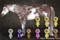 Horse Color:White Spotted Chocolate Smoky Black Splash Frame 