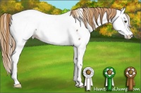 Horse Color:Red Roan Splash Fewspot 