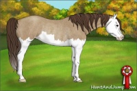 Horse Color:Classic Champagne Roan Splash Rabicano 