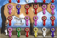 Horse Color:White Spotted Bay Dun Frame 