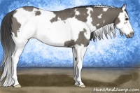 Horse Color:White Spotted Smoky Grullo Splash Frame Rabicano