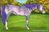 Horse Color:Watercolor Buckskin Ice Onyx 
