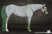 Horse Color:Watercolor Liver Red Dun 