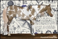 Horse Color:White Spotted Liver Red Dun Rabicano 