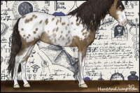 Horse Color:Liver Red Dun Sabino Appaloosa Rabicano
