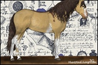 Horse Color:White Spotted Liver Red Dun Rabicano 