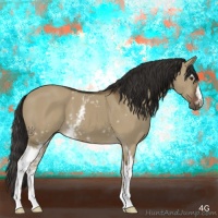 Horse Color:White Spotted Liver Red Dun 