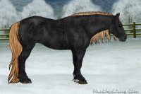 Horse Color:Liver Chestnut Ice 