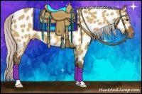 Horse Color:Silver Bay Dun Appaloosa 