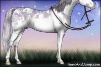 Horse Color:Watercolor White Spotted Chocolate Palomino Ice Splash Rabicano 