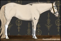 Horse Color:Chocolate Smoky Creme 