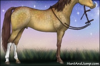 Horse Color:Chocolate Buckskin Dun 