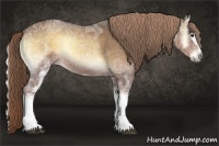 Horse Color:White Spotted Chocolate Palomino Ice Onyx Rabicano