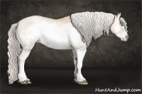 Horse Color:Silver Smoky Blue Onyx Ice Pearl Sabino Frame Rabicano