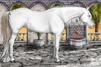 Horse Color:White Spotted Brown Pearl 