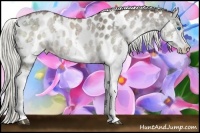 Horse Color:White Spotted Liver Red Dun Ice Sabino Splash Appaloosa