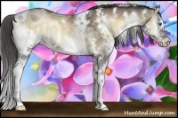 Horse Color:White Spotted Liver Red Onyx Ice Splash Rabicano