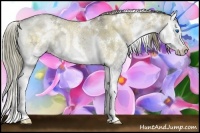 Horse Color:White Spotted Liver Red Dun Ice Onyx Sabino Splash Rabicano Brindle 