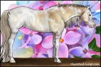 Horse Color:White Spotted Liver Red Onyx Pearl Sabino Splash Rabicano 