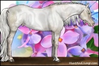 Horse Color:White Spotted Liver Red Dun Ice Pearl