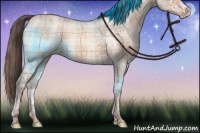 Horse Color:Plaid  Sable Champagne Ice Rabicano 