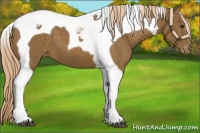 Horse Color:Chocolate Palomino Tobiano Varnish 