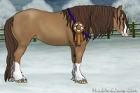 Horse Color:Classic Champagne Splash 