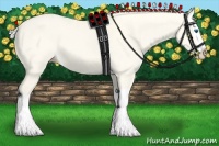 Horse Color:Silver Amber Cream Champagne Dun Splash 