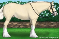 Horse Color:Silver Classic Cream Champagne Roan Dun Splash