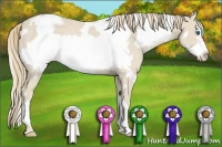 Horse Color:White Spotted Smoky Creme Frame Appaloosa Rabicano