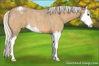 Horse Color:Silver Buckskin Roan Splash Varnish