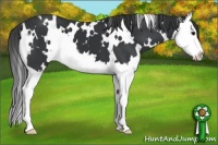 Horse Color:White Spotted Black Splash Varnish 