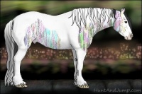 Horse Color:Grullo Ice Splash Tobiano
